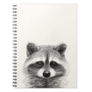 Raccoon Pencil Zeichnend Notizblock
