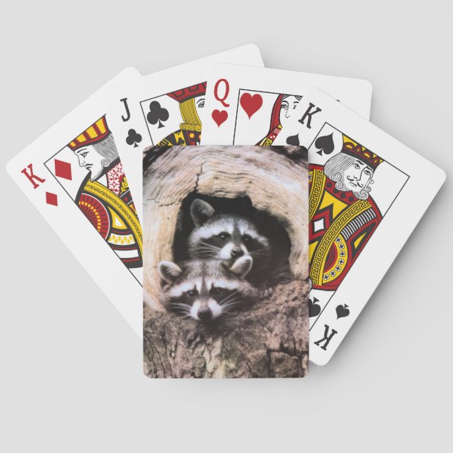 Raccoon Playing Cards Spielkarten (Rückseite)