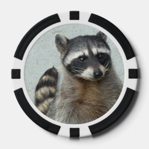 Raccoon Pokerchips
