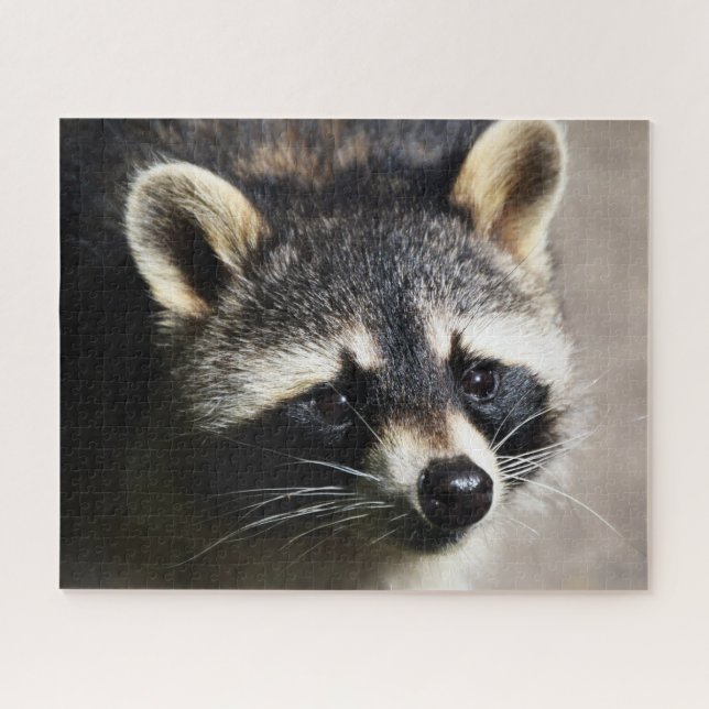 Raccoon Portrait, Jigsaw Puzzle (Horizontal)