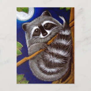 RACCOON Postkarte
