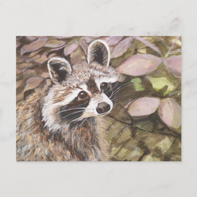 Raccoon Postkarte (Vorderseite)