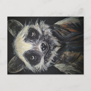 Raccoon Postkarte