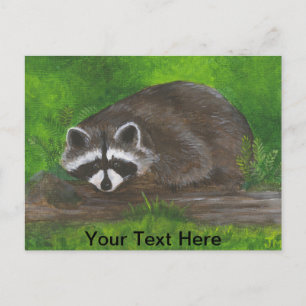 Raccoon Postkarte