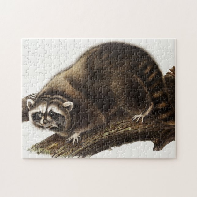 Raccoon (Procyon lotor) Illustration Puzzle (Horizontal)