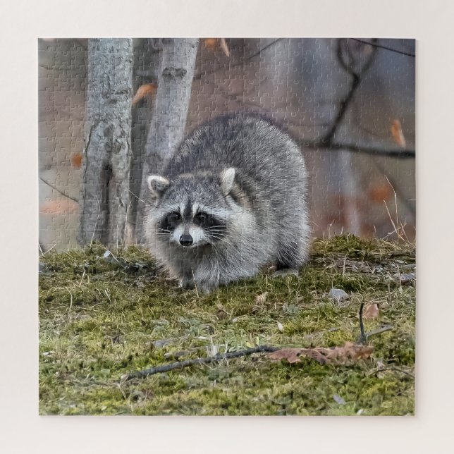 Raccoon Puzzle (Vertikal)
