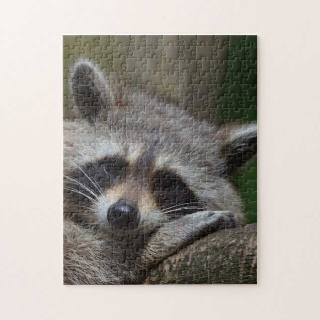 Raccoon Puzzle (Vertikal)
