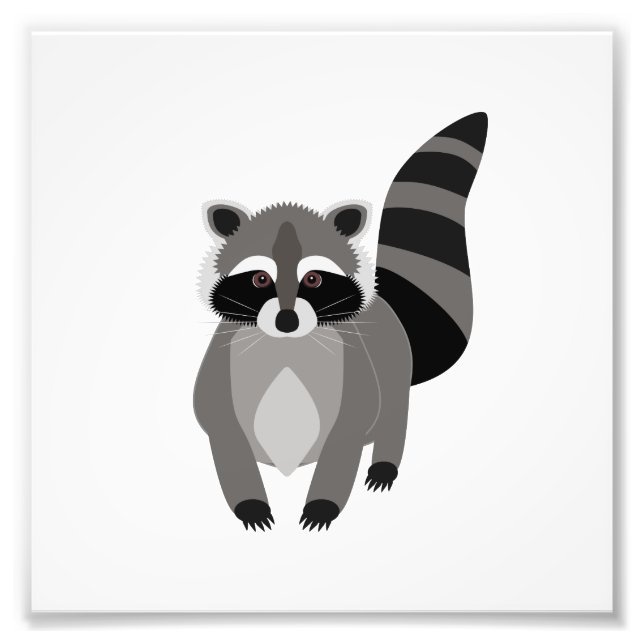 Raccoon Rascal Fotodruck (Vorne)