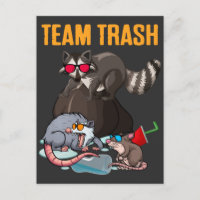 Raccoon Rat Trash Panda Garbage Animal Spaß