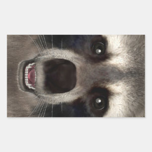 Raccoon Rechteckiger Aufkleber
