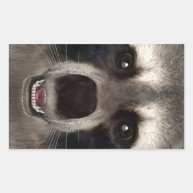 Raccoon Rechteckiger Aufkleber (Vorderseite)