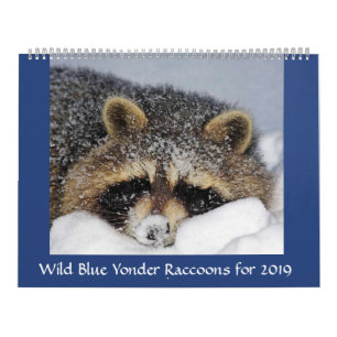 Raccoon Rescue & Release bei Wild Blue Yonder 2019 Kalender