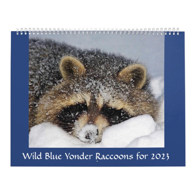 Raccoon Rescue & Release bei Wild Blue Yonder 2023 Kalender (Titelbild)