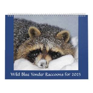 Raccoon Rescue & Release bei Wild Blue Yonder 2023 Kalender