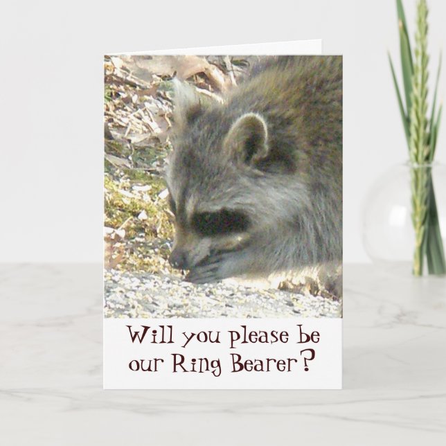 Raccoon Ring Beyer Card Feiertagskarte (Vorderseite)
