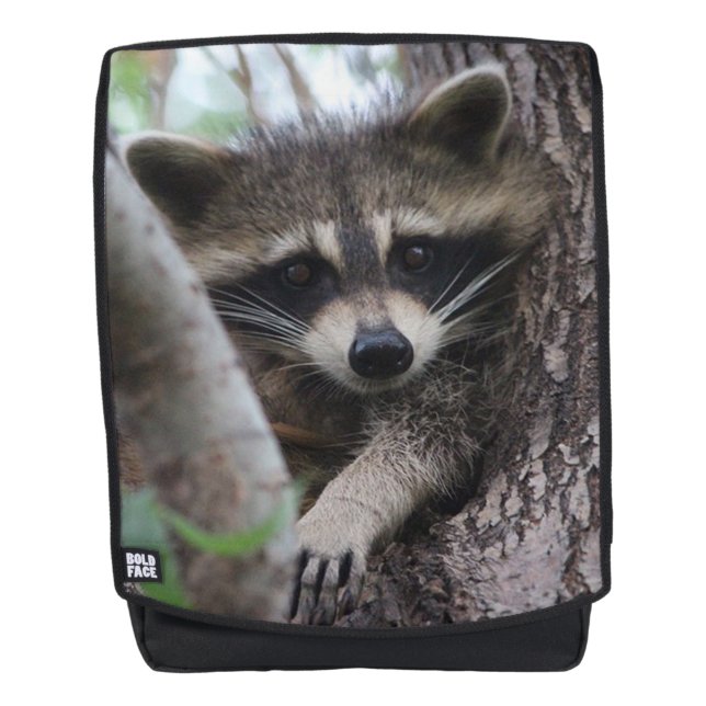 Raccoon Rucksack (Vorderseite)