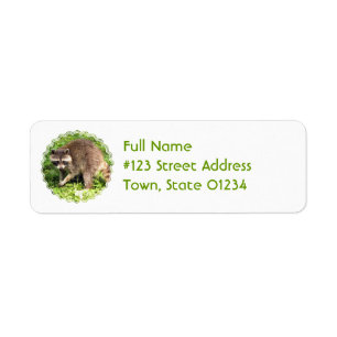 Raccoon-Rücksendeadressemailings-Aufkleber