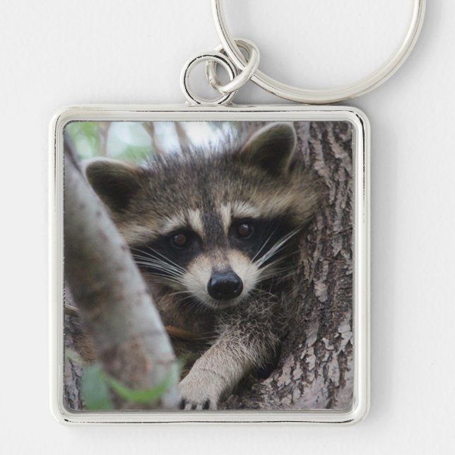 Raccoon Schlüsselanhänger (Vorne)