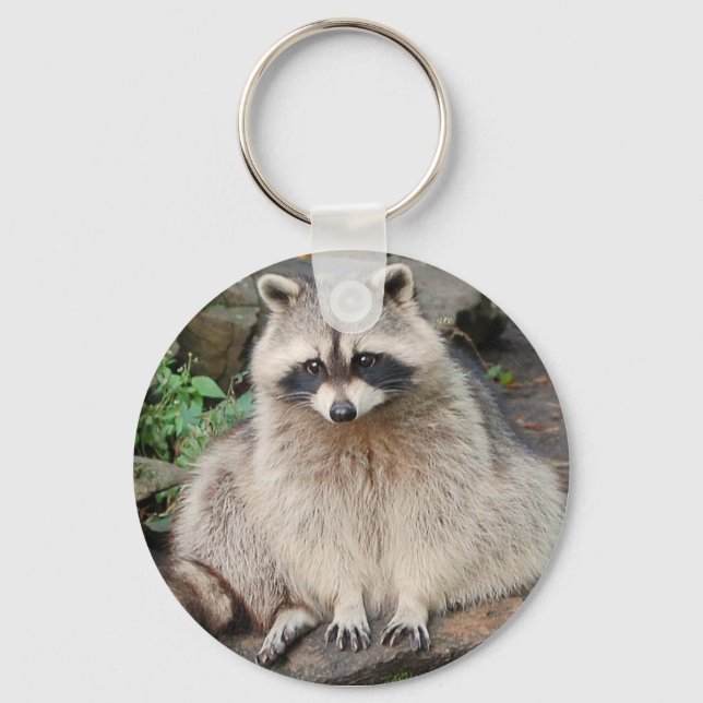 Raccoon Schlüsselanhänger (Vorderseite)