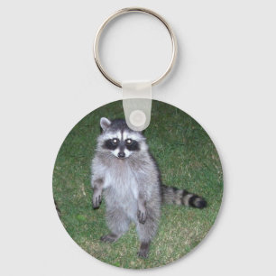Raccoon-Schlüsselanhänger Schlüsselanhänger