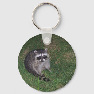 Raccoon-Schlüsselanhänger Schlüsselanhänger