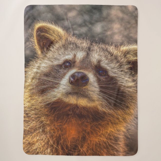 Raccoon Sherpadecke (Vorderseite)