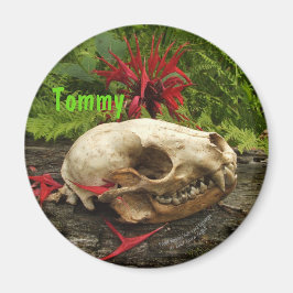 Raccoon Skull Altes Holz mit Farne und rote Monard Magnet