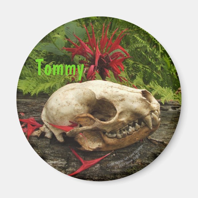 Raccoon Skull Altes Holz mit Farne und rote Monard Magnet (Vorne)