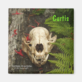 Raccoon Skull Altes Holz mit Farne und rote Monard Magnet