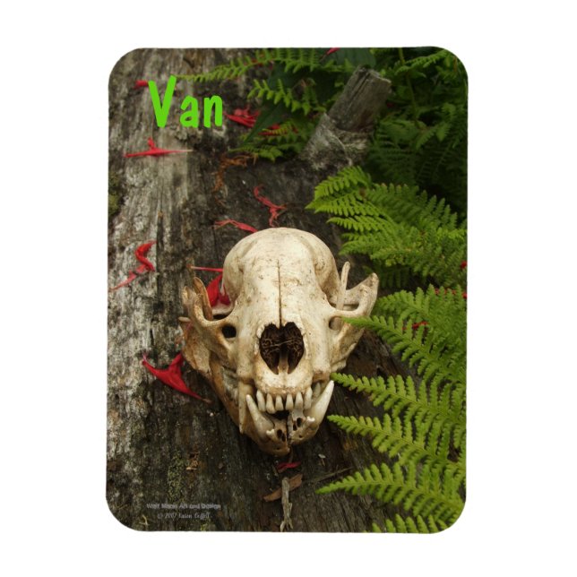 Raccoon Skull Altes Holz mit Farne und rote Monard Magnet (Vertikal)