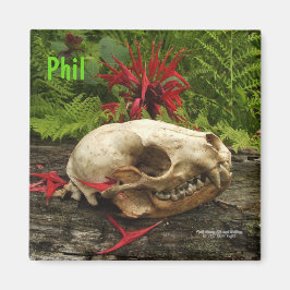 Raccoon Skull Altes Holz mit Farne und rote Monard Magnet