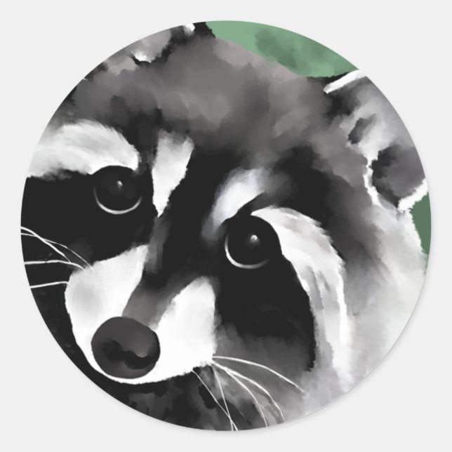 Raccoon Stickers (Vorderseite)