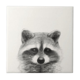 Raccoon-Stift Zeichne Fliese