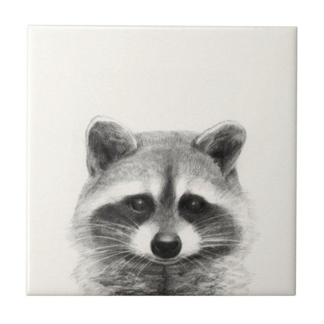 Raccoon-Stift Zeichne Fliese (Vorderseite)