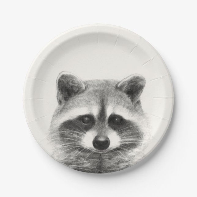 Raccoon-Stift Zeichne Pappteller (Vorderseite)