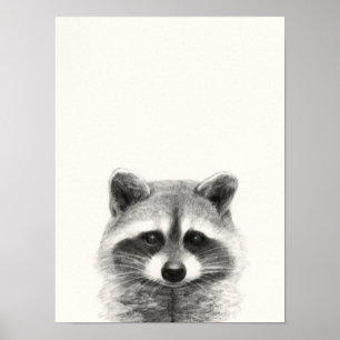 Raccoon-Stift Zeichne Poster