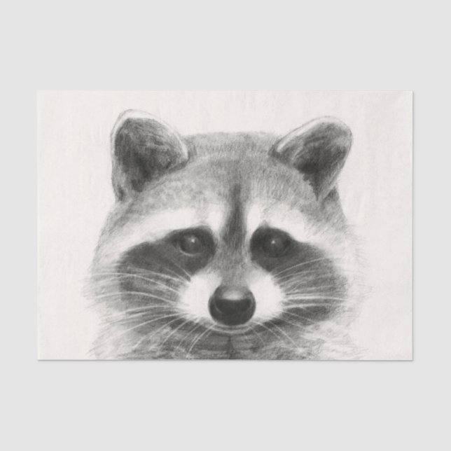 Raccoon-Stift Zeichne Seidenpapier (Vorderseite)