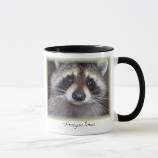 Raccoon-Tasse - Procyon lotor Tasse