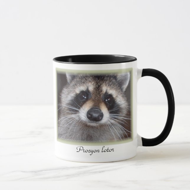 Raccoon-Tasse - Procyon lotor Tasse (Rechts)