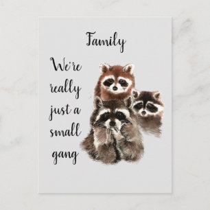 Raccoon-Tiere mit Inspirationsquelle Postkarte