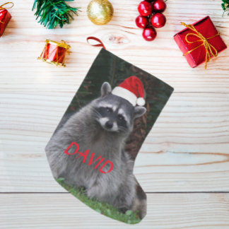 Raccoon Tragen roter Weihnachtsmannmütze mit Name Kleiner Weihnachtsstrumpf