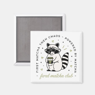 Raccoon trinken Matcha Klub lustig kawaii Tier Magnet