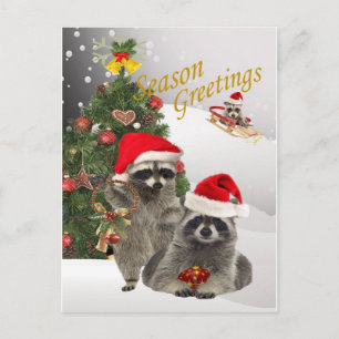 Raccoon Weihnachten eine Zeit zum Spaß