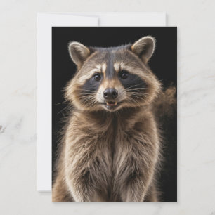 Raccoon Wild Animal Elegantes Dramatisches Nebelpo Ankündigung