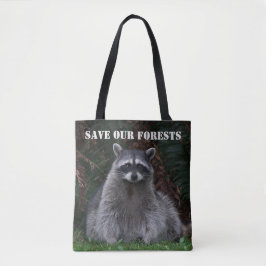 Raccoon Wildlife Foto Foservation