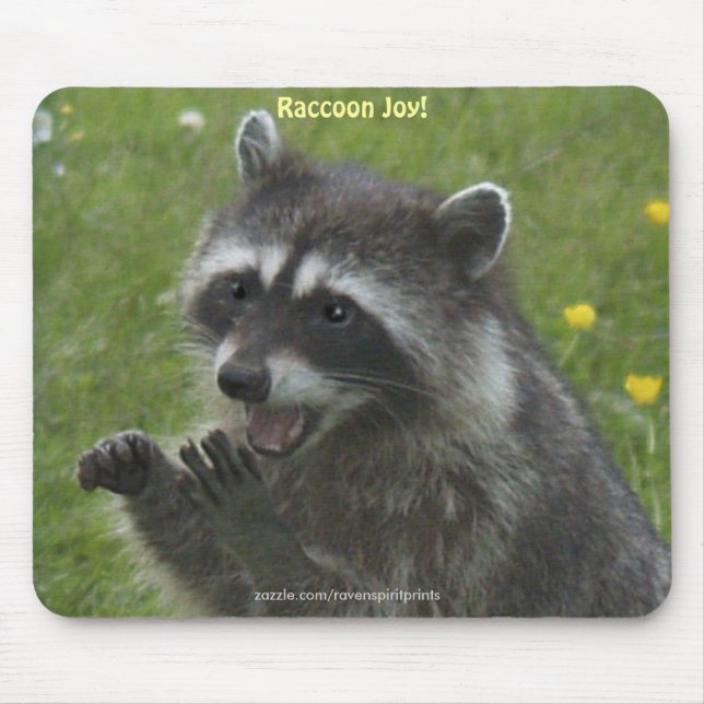RACCOON WILDLIFE glückliche Mousepads (Vorne)