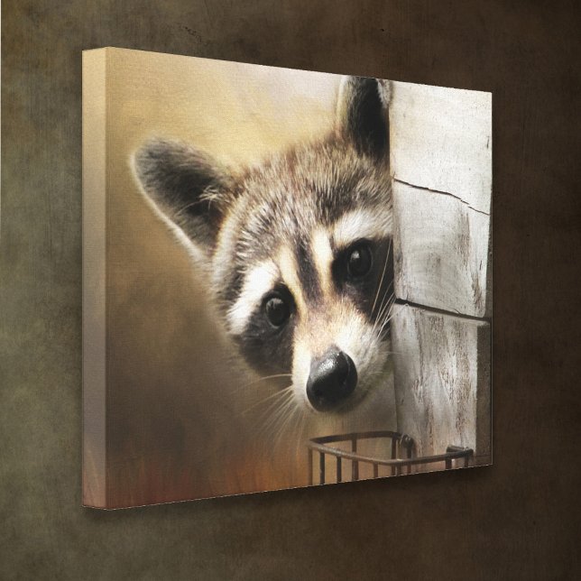 Raccoon Wildlife Leinwand (Von Creator hochgeladen)