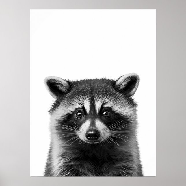 Raccoon Woodland Modernes Portrait Schwarz-weiß Poster (Vorne)