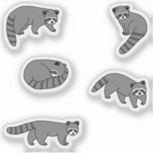 Raccoons Aufkleber