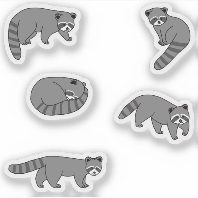 Raccoons Aufkleber (Vorderseite)